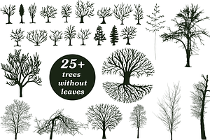 25+ trees without leaves