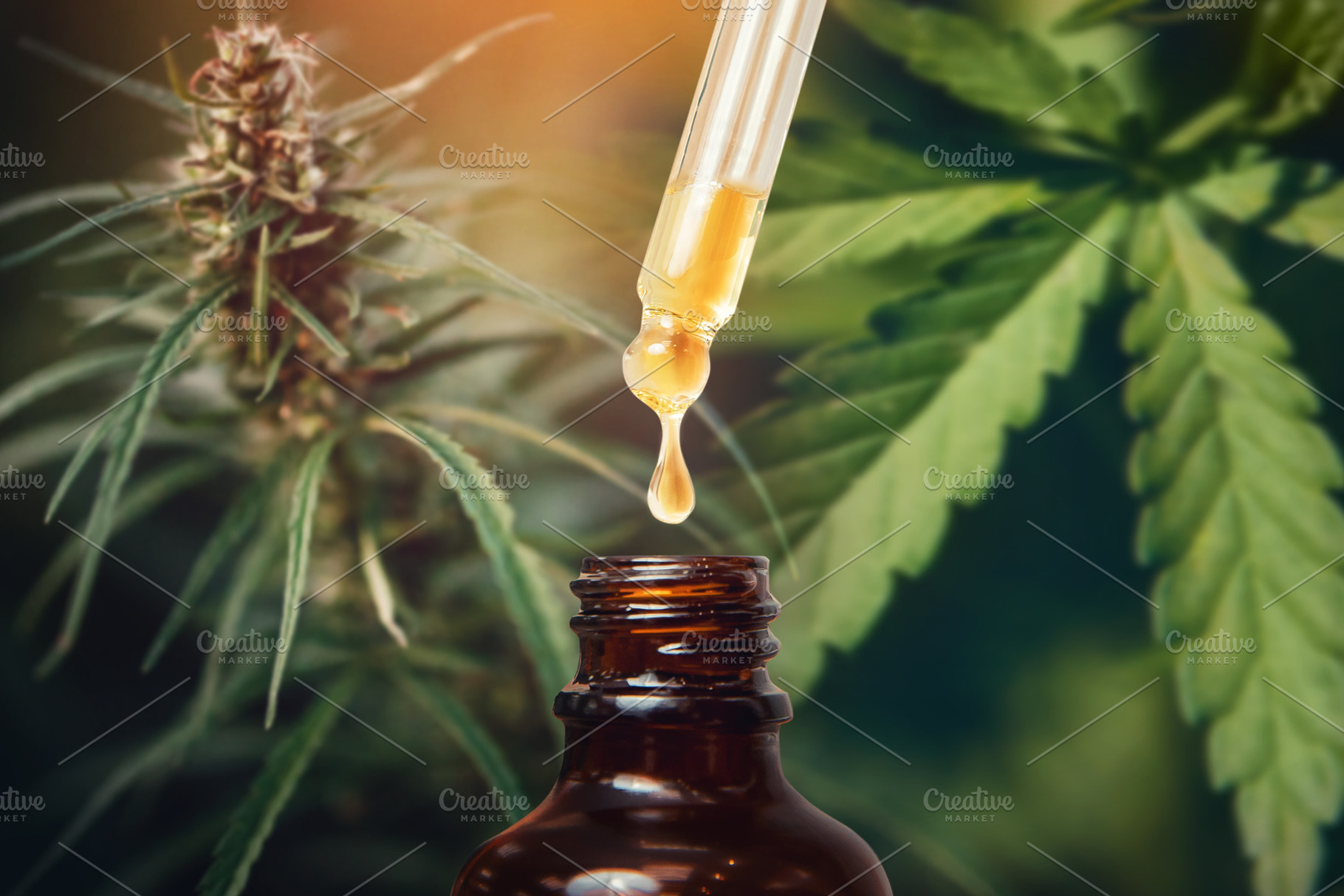 Concept medical marijuana. Cannabis, a Health & Medical Photo by Parilov