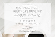 Dominate - Monoline Font, a Handwritten Font by Timurtype (Thumbnail 7 of 7)