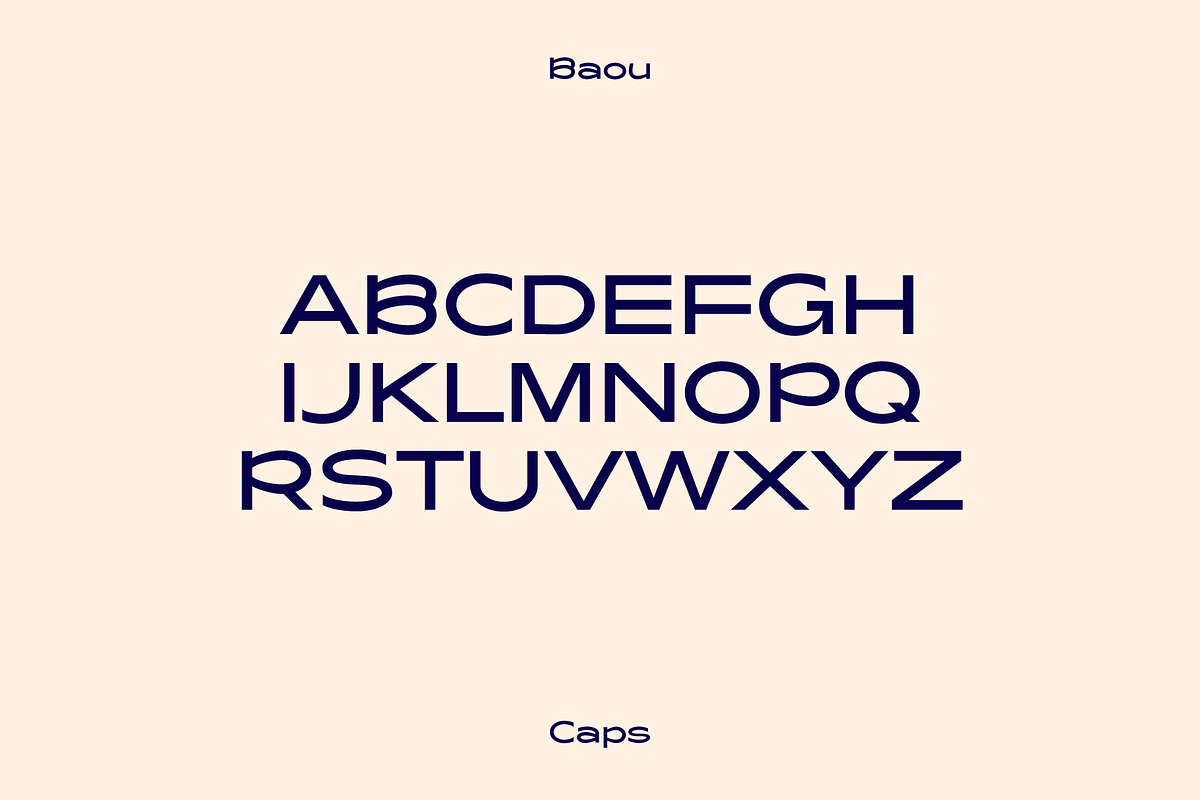 Baou Modern Sans + Logos, a Sans Serif Font by That That Creative (Photo 4 of 20)