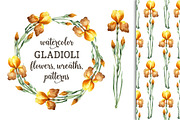 Watercolor gladioli set, an Illustration by Floralis (Thumbnail 1 of 4)