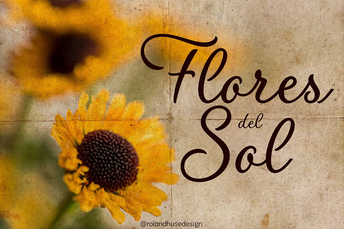 Flores del Sol calligraphic font, a Script Font by Roland Huse Design (Photo 1 of 7)
