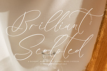 Brilliant Sculpted