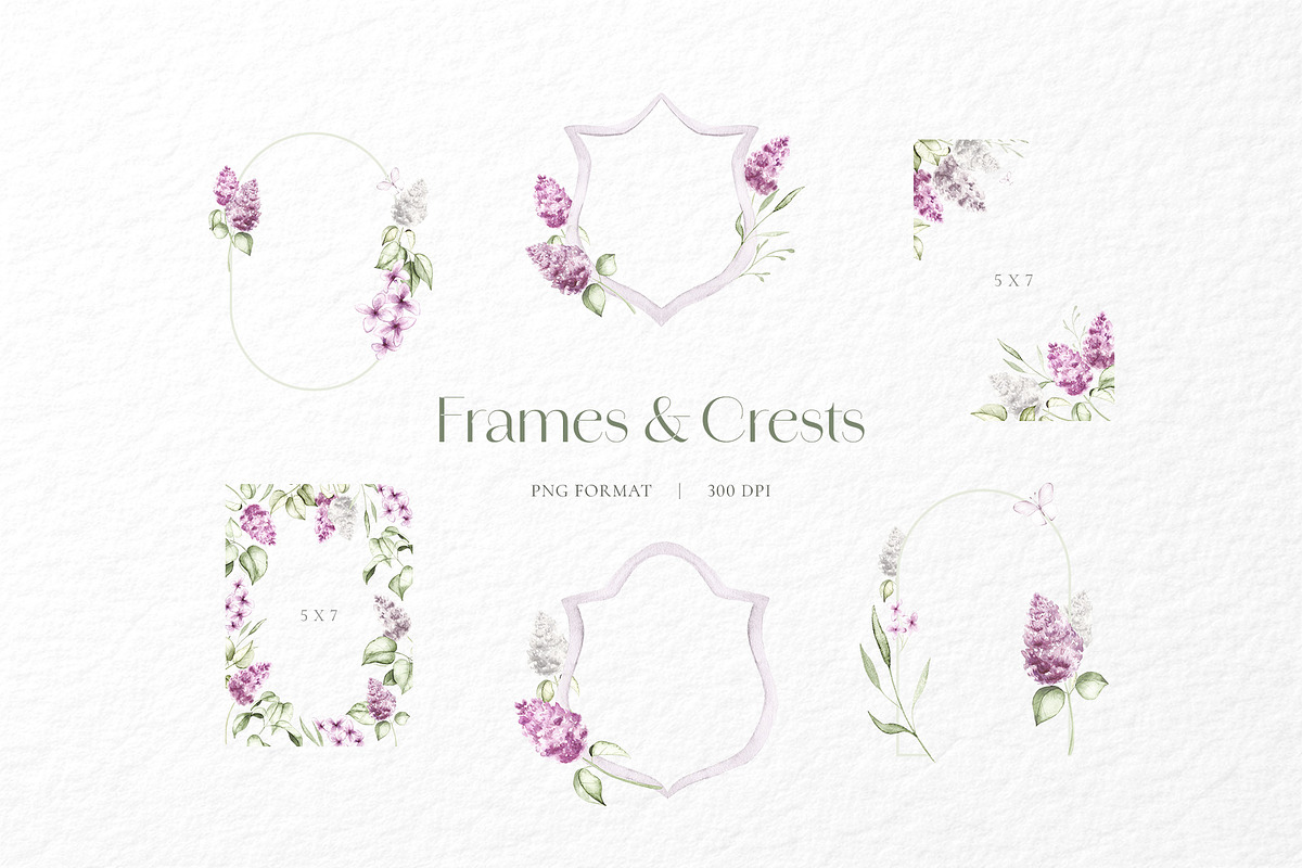 Lilac Garden Watercolor Collection, a Decorative Illustration by Liliia Polos Illustration (Photo 4 of 10)