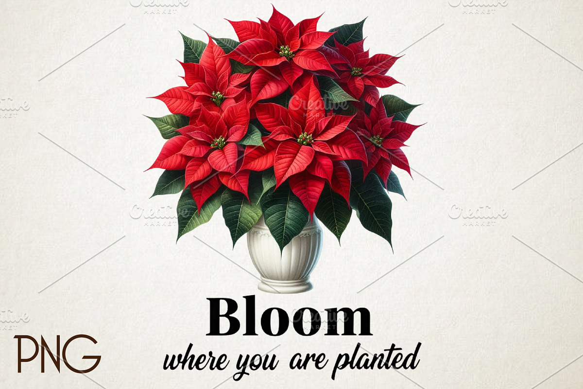 Christmas Poinsettia Flower PNG Clip, an Illustration by RobertsArt (Photo 1 of 5)