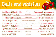 Sybilla Multiverse: Stroke + Rough, a Slab Serif Font by Karandash (Thumbnail 4 of 7)
