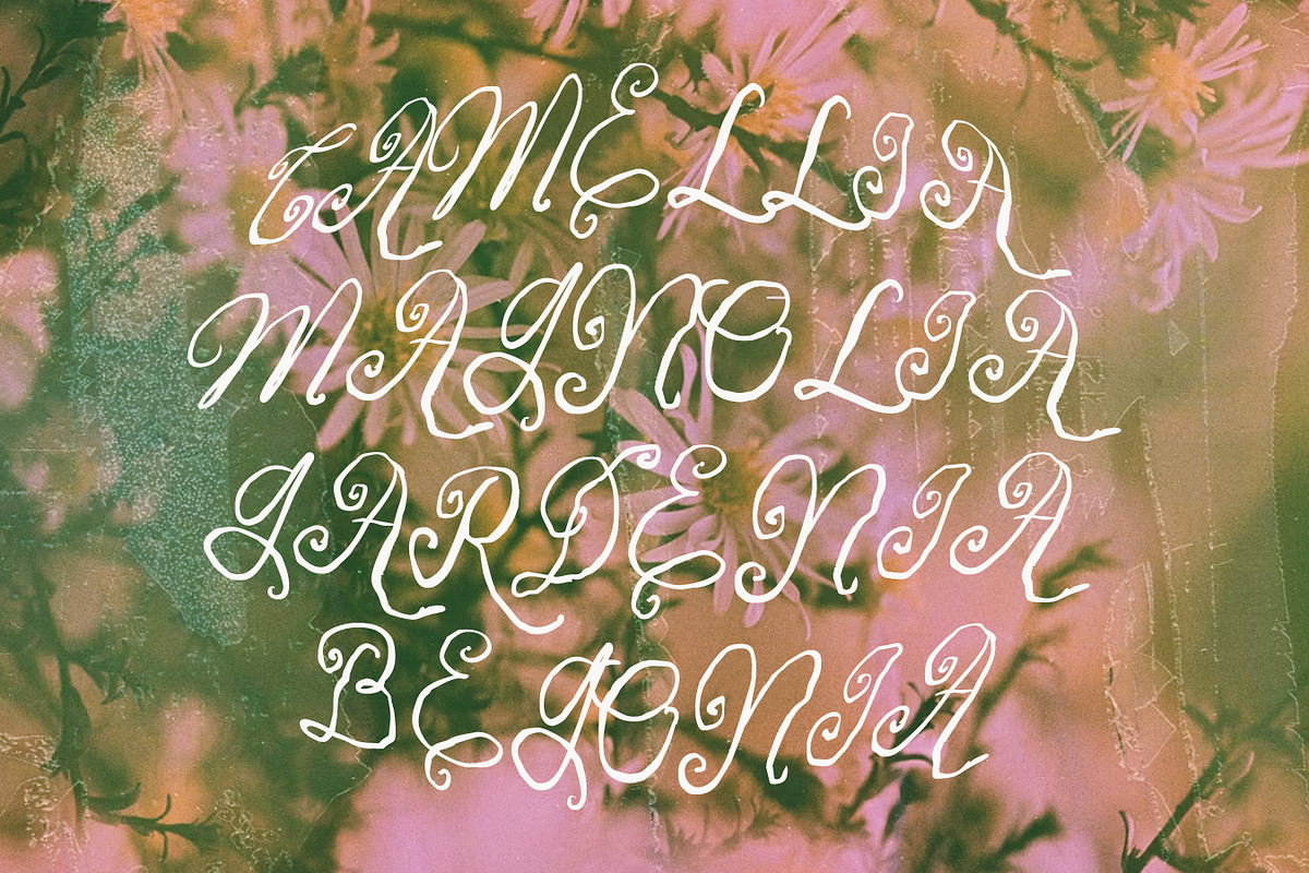 The Louise | Whimsical Script Font, a Script Font by Typoraith Co (Photo 10 of 13)