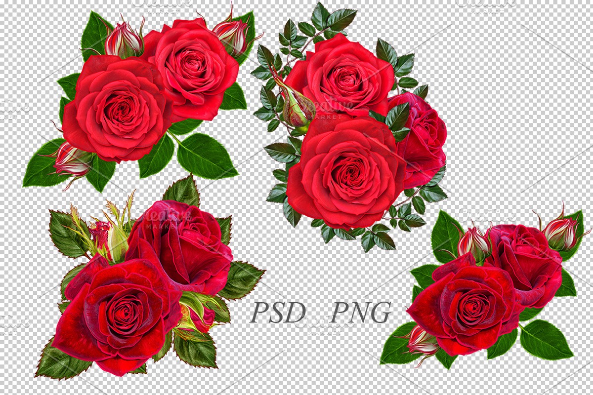 Collection of red roses, an Illustration by SokolovaSv (Photo 4 of 4)