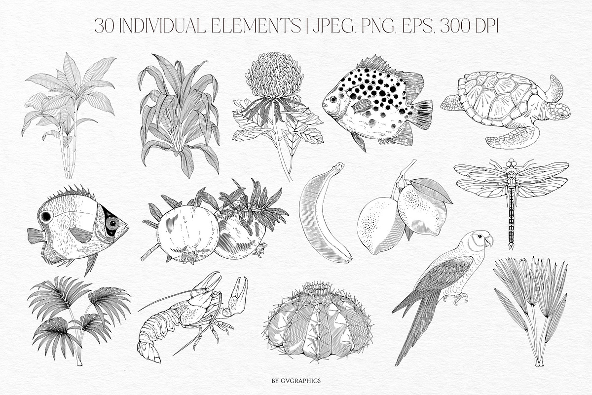 Summer Island Illustrations, an Animal Illustration by GVGraphics (Photo 2 of 9)