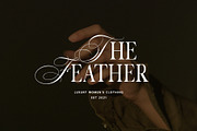 Monique Display Duo Font | Logo Font, a Serif Font by Calamar Studio (Thumbnail 12 of 18)