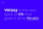 Nexa, a Sans Serif Font by Fontfabric (Thumbnail 8 of 12)