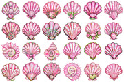 Pink Girly Summer Seashell Clipart, an Illustration by designcity5 (Thumbnail 2 of 5)
