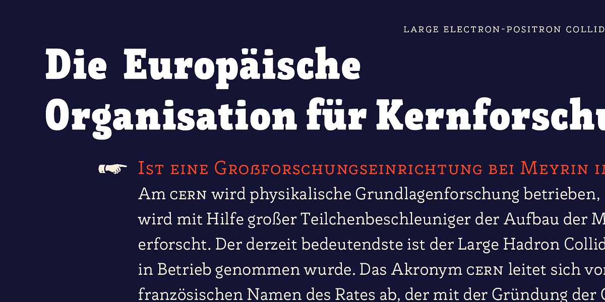 Rogliano Pro, a Slab Serif Font by Untype (Photo 14 of 26)