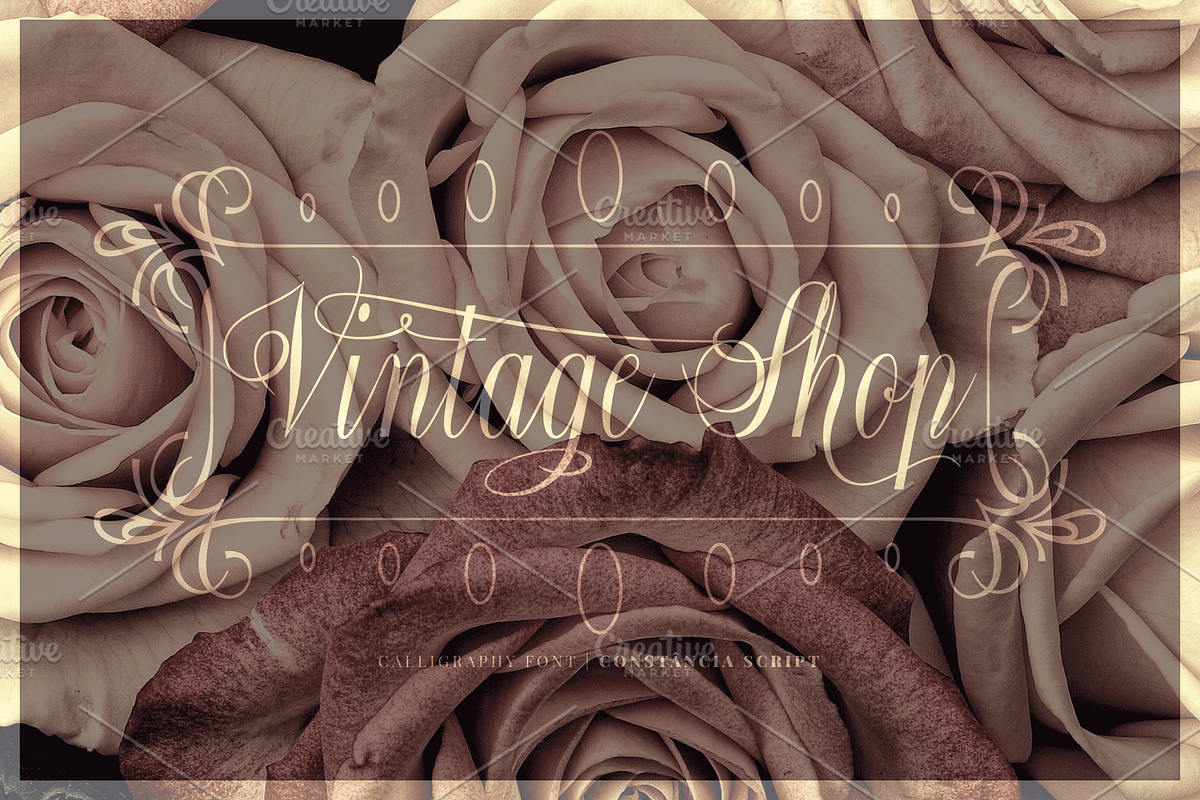 Constância Script Bold preview 4