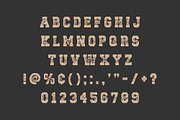 Vintage Collapse – Bold Distressed, a Slab Serif Font by Limited.studio (Thumbnail 5 of 5)