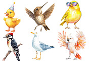 Watercolor bird Sublimation, an Illustration by Designworld (Thumbnail 2 of 6)