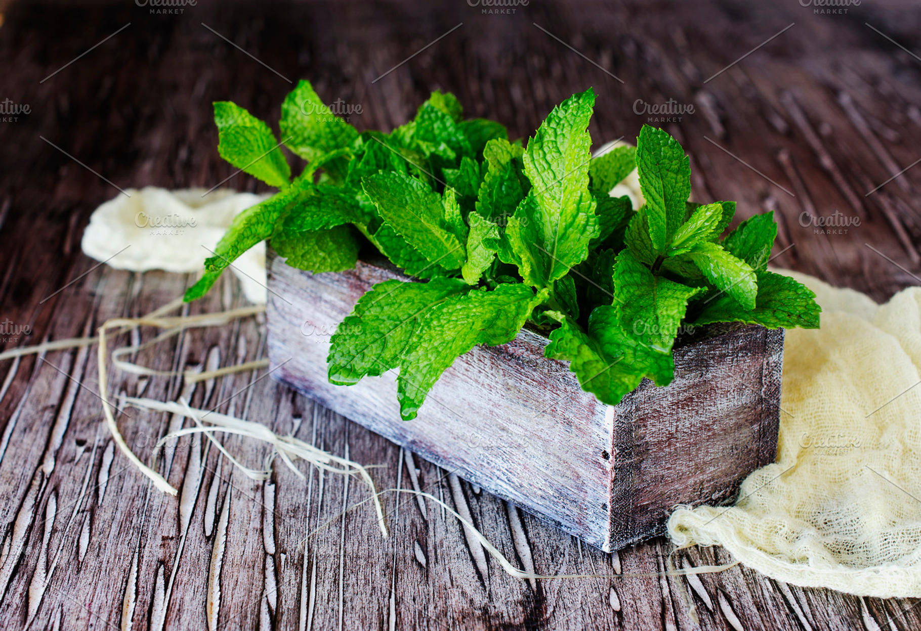 Fresh lemon balm or mint in a small wooden box featuring white, wooden, and, a Food & Drink Photo by Wild Drago Shop