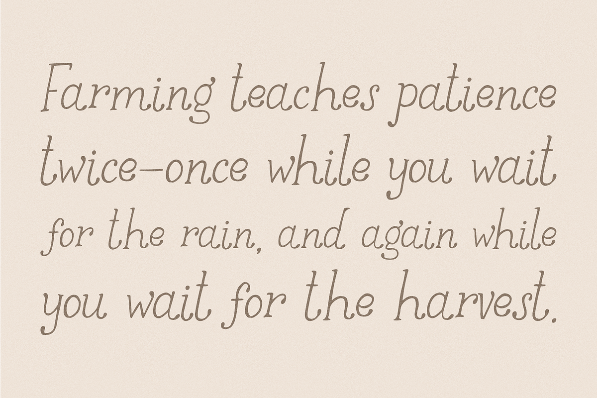 Goldenroot Serif A Rustic Font, a Handwritten Font by Beck McCormick (Photo 4 of 10)