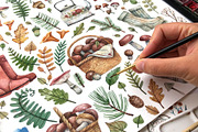 Fall Treasures, an Illustration by Watercolor by Tonia Tkach (Thumbnail 10 of 10)