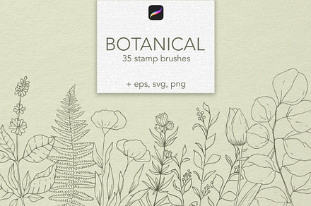 Botanical Procreate stamps, cliparts