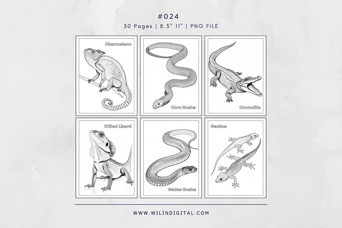 30 Reptiles Animals Coloring Pages, an Illustration by Wilin Digital (Photo 3 of 3)