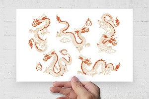 Chinese Dragon Illustration