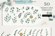 Eucalyptus – Watercolor Collection, a Decorative Illustration by Letters-Shmetters (Thumbnail 2 of 8)