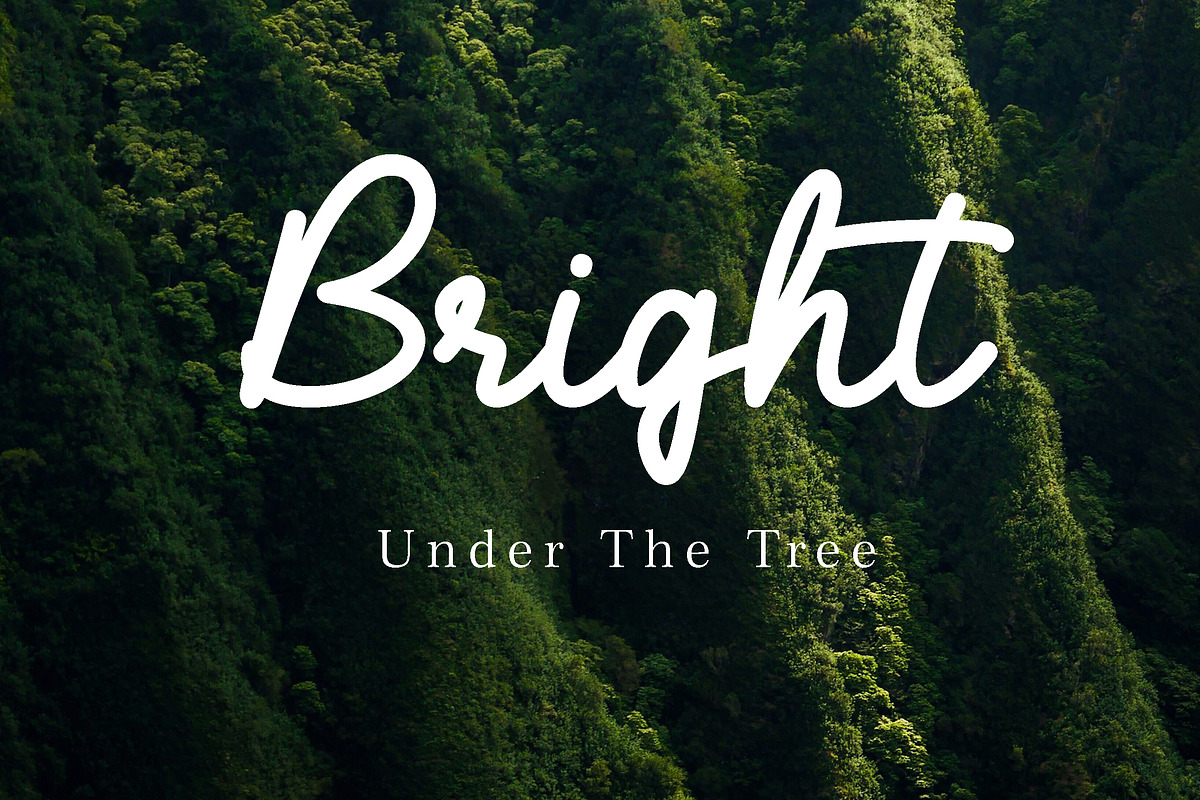 Giftmas - Monoline script font, a Script Font by Fontcastle (Photo 4 of 7)