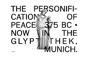 Eirene Sans - Type family, a Sans Serif Font by Tomas Castiglioni (Thumbnail 13 of 20)