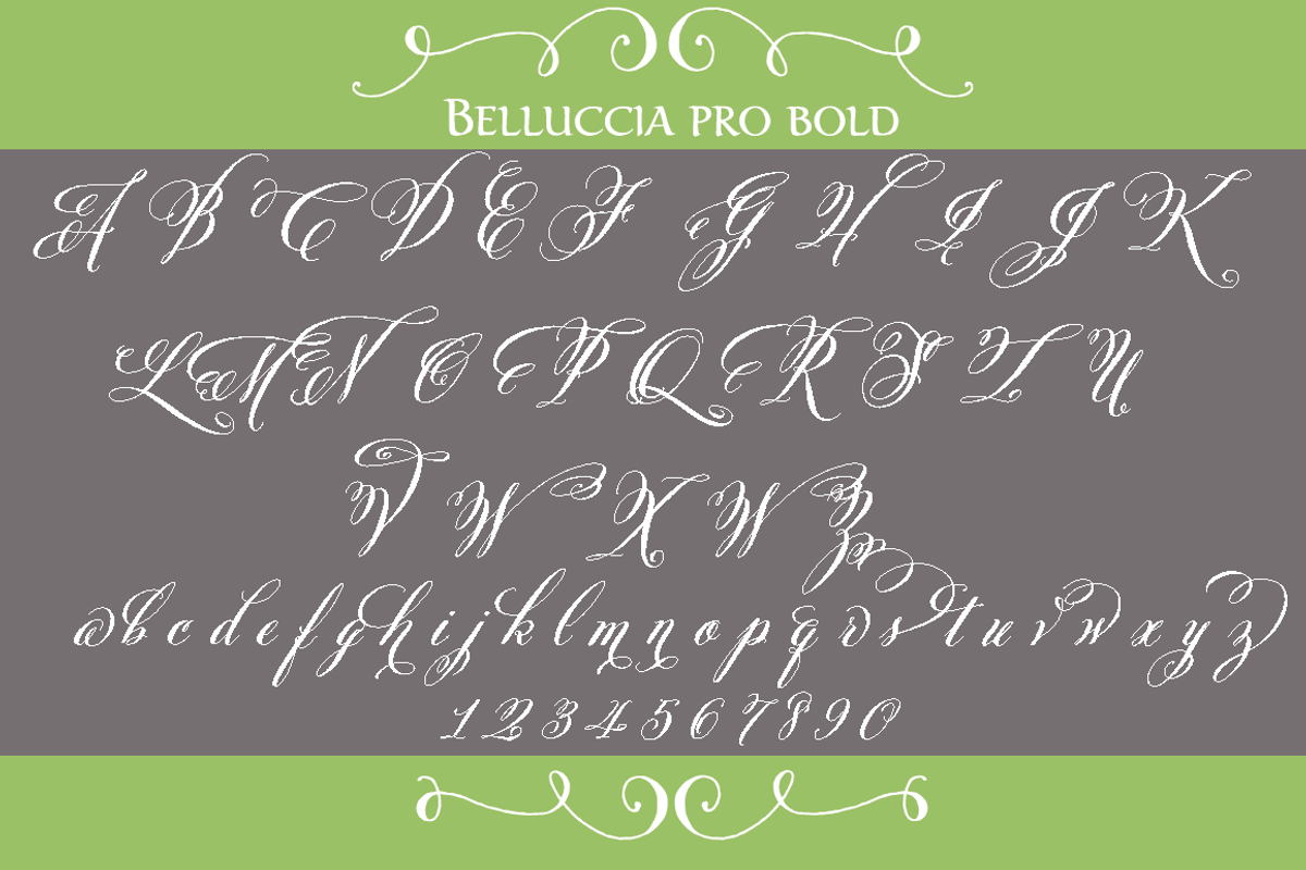 Belluccia Pro Bold Font preview 2