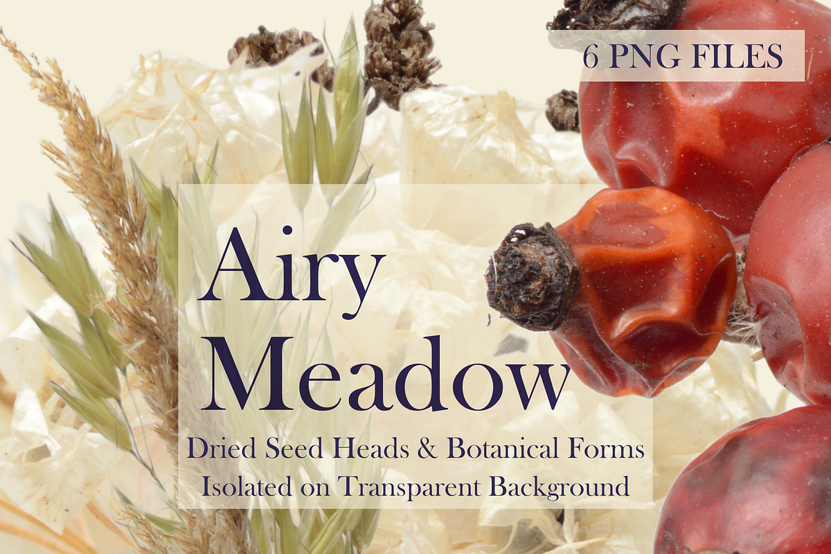 Airy Meadow — Dried Seed Heads PNG, an Object Graphic by Aga Silva (Photo 8 of 10)