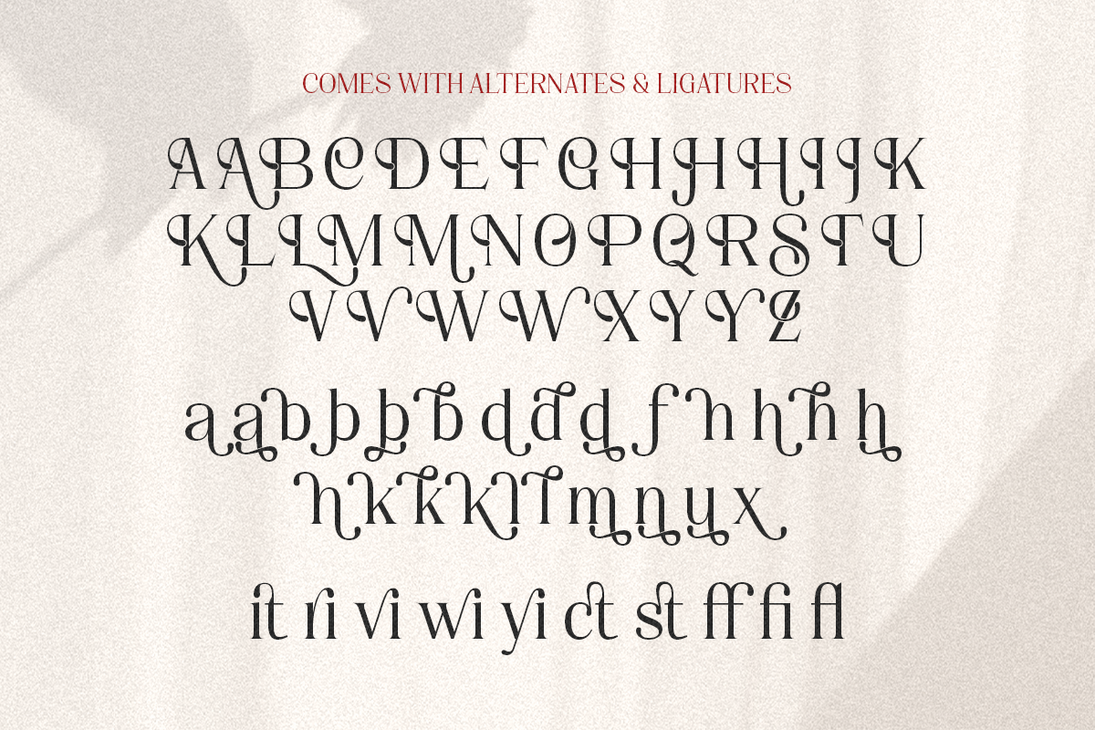 Valorine - Minimal Modern Stylish, a Serif Font by Shakira Studio (Photo 10 of 10)