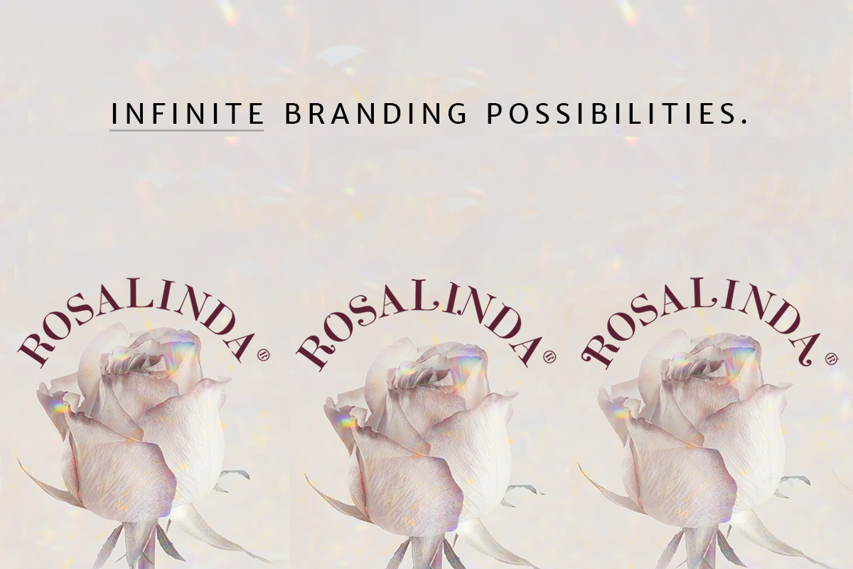 Enchanter Deluxe Modern Art Font, a Serif Font by Cloverons (Photo 2 of 9)