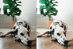 10 CLEAN HOME LIGHTROOM PRESETS