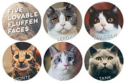 Hipster Cats Photo Pack preview 3