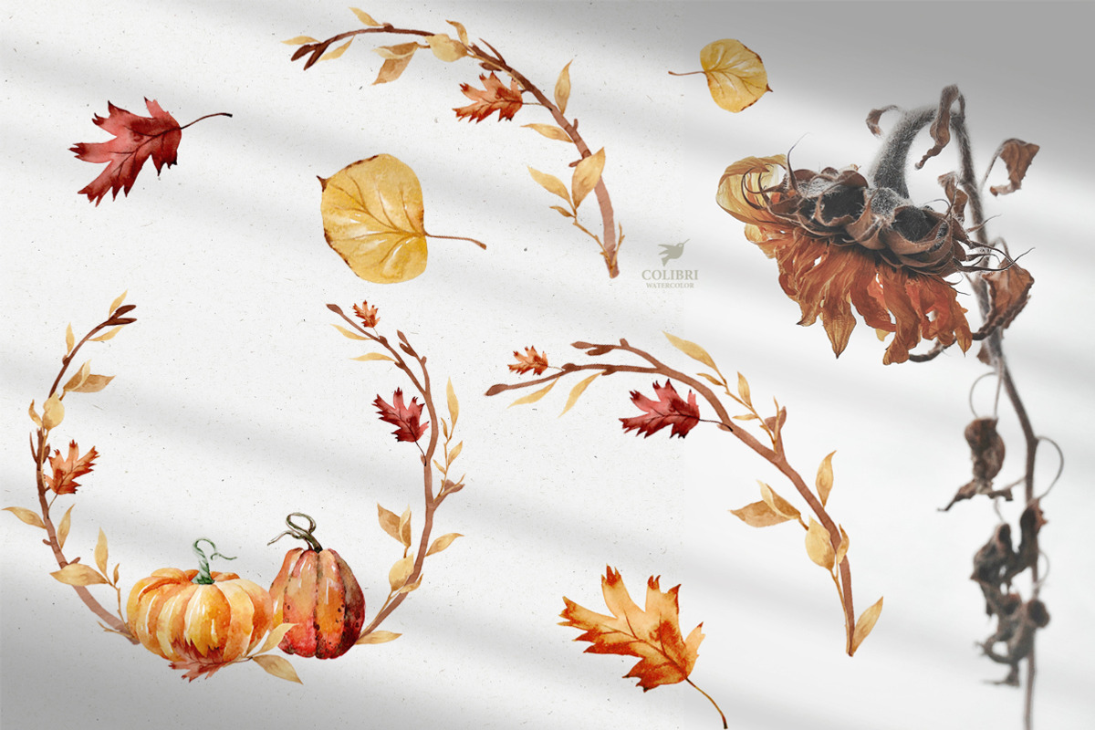 Watercolor Thanksgiving Clip art, an Illustration by Colibri Watercolor (Photo 4 of 8)