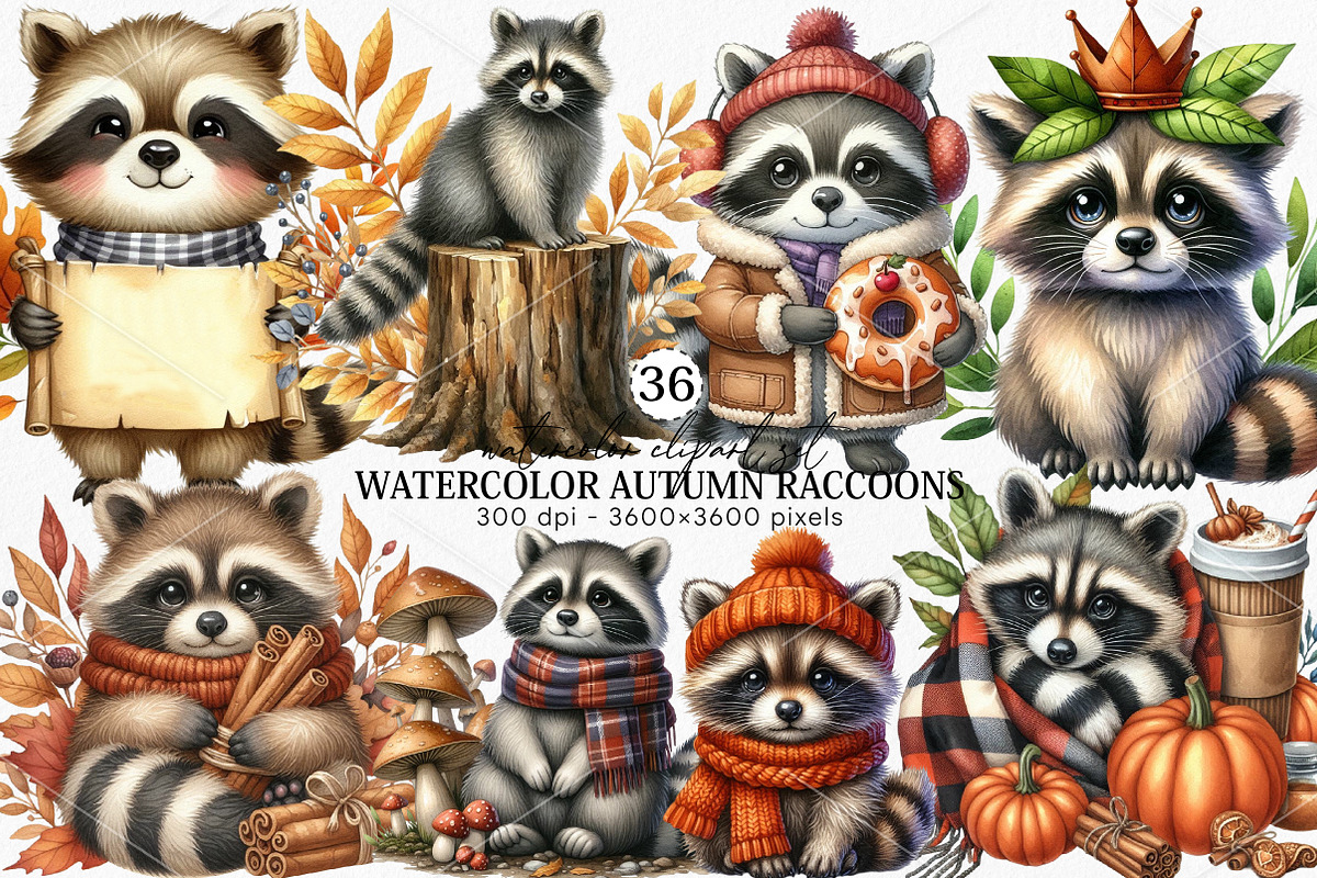 Watercolor Autumn Raccoons Clipart, an Illustration by Canvas Craft (Photo 1 of 7)