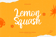 Lemon Squash Handwritten Script Font, a Script Font by ZAL STUDIO (Thumbnail 1 of 5)