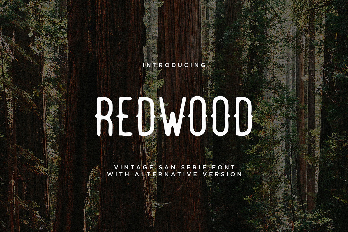 Vintage Trio Font Bundle, a Serif Font by Mikhail Fukurou (Photo 5 of 13)