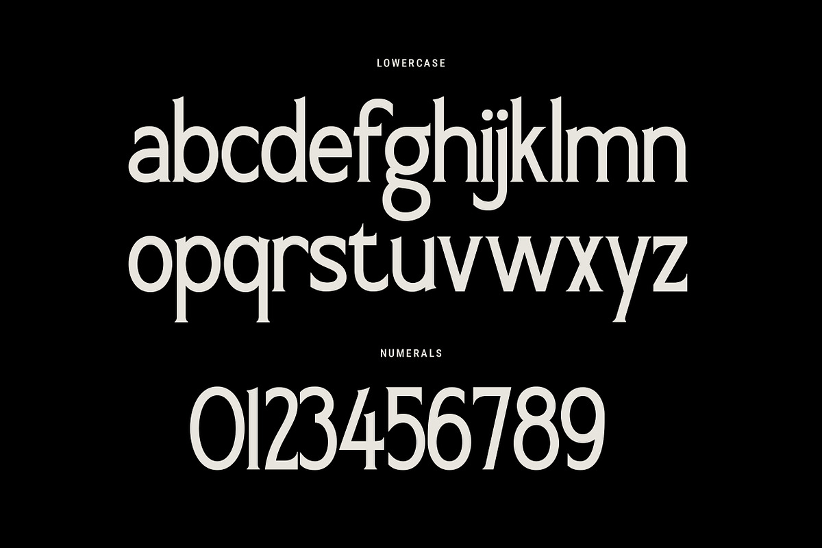 Elanche – Classic Editorial Serif, a Serif Font by Mahesans Co (Photo 10 of 12)