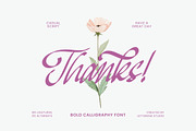 Mendyora Bold Calligraphy Font, a Script Font by Letterena Studios Script (Thumbnail 15 of 15)