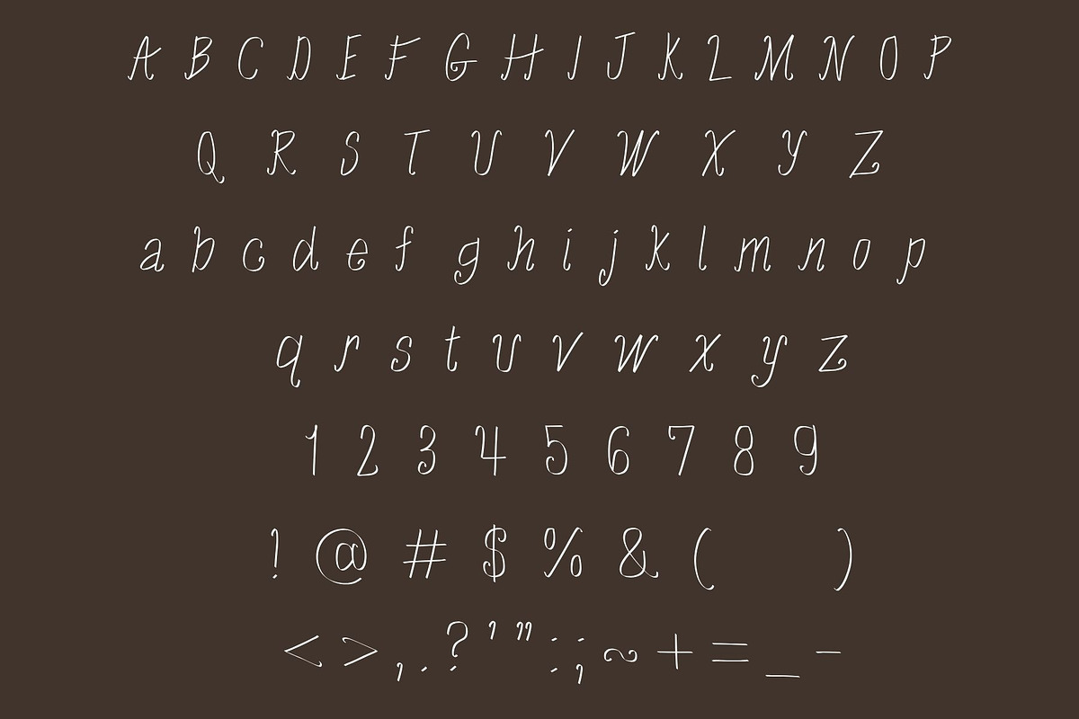 Horseshoe Thin, a western script, a Handwritten Font by Eryn Rose Design (Photo 4 of 14)