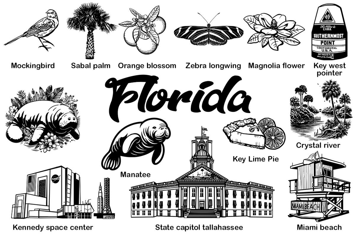 Florida state vector clipart, an Illustration by FITALARTSNEDIGI (Photo 3 of 10)