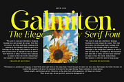 Galmiten | 243 Font Styles, a Serif Font by IM Studio (Thumbnail 5 of 12)
