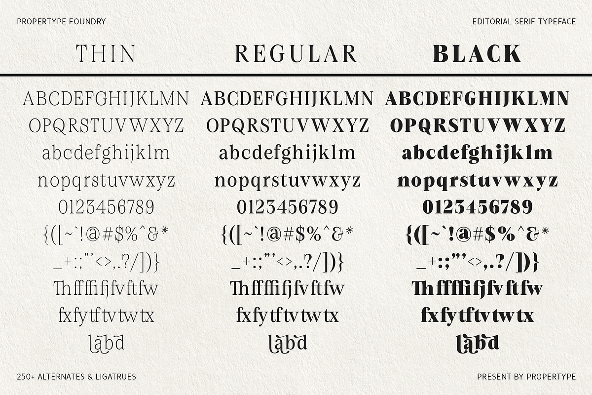 Figo Shiftz, a Serif Font by Propertype (Photo 13 of 13)