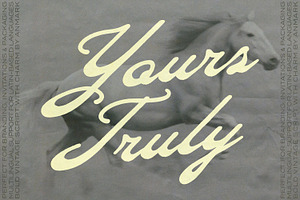 Yours Truly Bold Vintage Script Font, a Script Font by AnMark