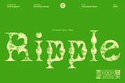 CS Chimera Stamp, a Serif Font by Craft Supply Co. (Thumbnail 5 of 8)