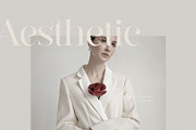 Denike || Stylish Modern Serif, a Serif Font by BrandSemut (Thumbnail 3 of 11)