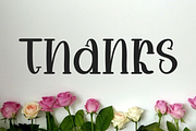 Mother Hearty, a Serif Font by InermediaSTUDIO (Thumbnail 8 of 8)