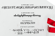 Creative Christmas, a Handwritten Font by FreshTypeINK (Thumbnail 3 of 14)